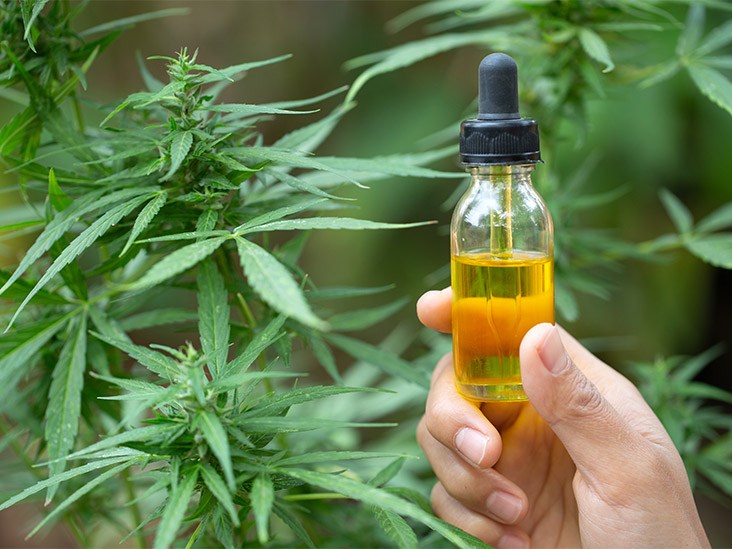 CBD Oil – The Truth Behind Quality and Sourcing