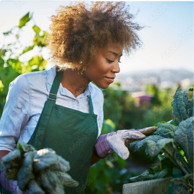 A woman wearing gloves and an apron, picking vegetables from a garden.